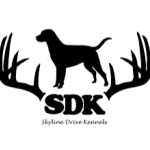images-modified-removebg-preview (1)