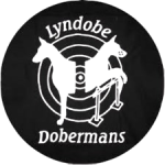 images-modified-removebg-preview