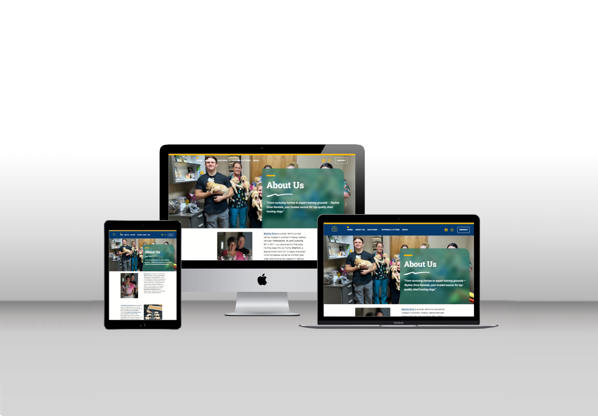 client stories Wise Choice Creative, creative agency in Louisville KY clients, branding success stories, digital marketing results, web design case studies
